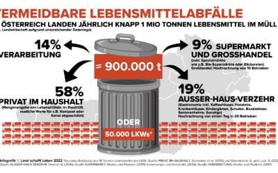 Tag der Lebensmittelrettung: Lebensmittelwissen gegen Verschwendung