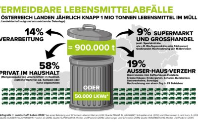Lebensmittelverschwendung: 36 Brotlaibe pro Kopf für den Müll