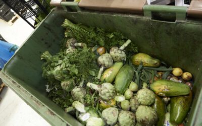 Stoppt Lebensmittelverschwendung – stoppt Ernährungsarmut!