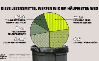 Lebensmittelverschwendung in Österreich: Zwei Monatseinkäufe landen im Müll