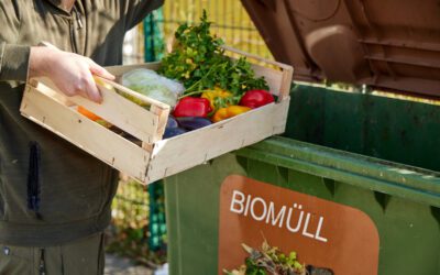 1,4 Milliarden Hektar landwirtschaftliche Nutzfläche für die Tonne