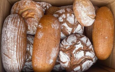 Brot in Not: Gemeinsam gegen Verschwendung