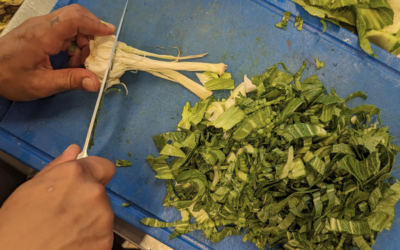 Obdach aXXept kocht auf
